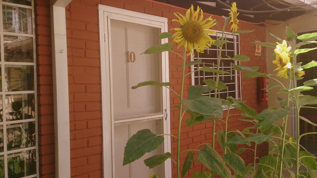 Posada Shalom Asuncion Kültér fotó