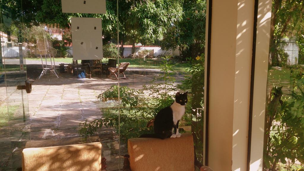 Posada Shalom Asuncion Kültér fotó